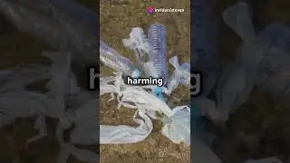 The Shocking Truth About Plastic Waste: What You NEED to Know!  #plasticwaste #environmentalissues