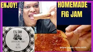 FRESHLY Made FIG JAM, Eaten with TOAST Bread. @PlantsandNature1 (GOP)