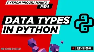 Primitive Data Types | Python Programming | Basics to Advanced Concepts