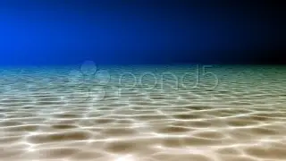 Underwater Scene. Stock Footage