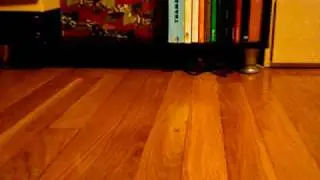 National Geographic Remote-controlled Tarantula