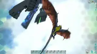 None stop pvp dodo legends