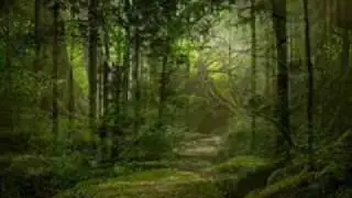Sound Crowd sixth-season-vid.wmv