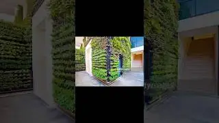 Vertical Wall Garden ideas l #shortvideo #ideas #subscribe