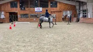 Working Equitation