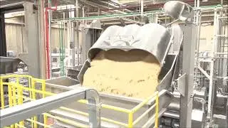 Cream Cracker