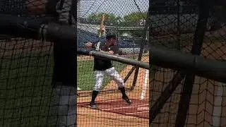 Stanton, DJ, and Donaldson BP #Yankees #MLB #NewYork #shorts