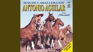 El Corrido del Juguete