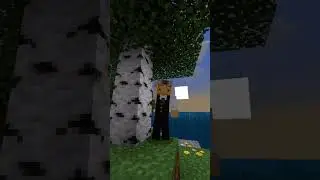 Couch&eacute;e de soleil seul #minecraft #seul #gaming