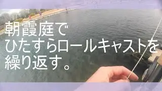 朝霞庭でひたすらロールキャストを繰り返す。