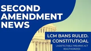 Federal Court Rules In Favor of Magazine Ban and Undectable Firearms Act ReAuthorized