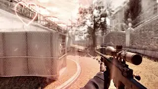 GUIDE DOG. [CS2 Edit - Clips in desc]