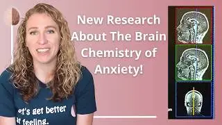 New Research About the Brain Chemistry of Anxiety - Can Choline Supplementation Help?