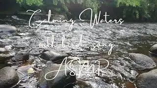 Calming Waters: With Birdsong - A Video To Relax To (ASMR)