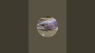 Travel Trout is live! STEELHEAD FLIES!