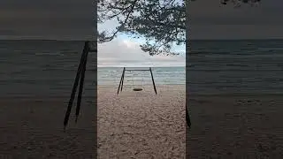 Pirita #tallinn #visitestonia #estonia #xmas #december #beachvibes #beach #travel  #youtubeshorts