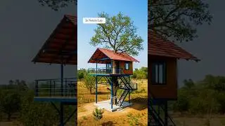 Unique house built on a tree 🌴🏠