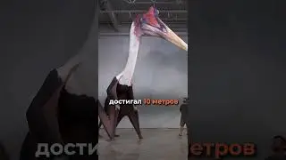 Чудовище Размером С Самолёт | #динозавры #птерозавры #монстры #палеонтология #диномашина