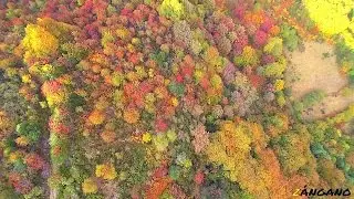 HAYEDO DE BUSMAYOR - El color del otoño - Barjas - León (A vista de Zángano...)