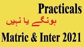 Practicals Exams 2021 for Matric & Intermediate for Punjab Board-Practical Exam 2021 Conduct or Not?