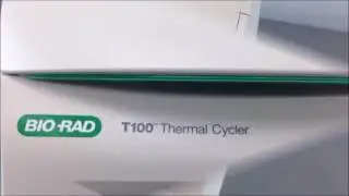 BioRad T100 Thermocycler