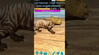 HOW ITS LOOK SABERTOOTH FULL MATURING PROCESS #arksurvivalevolved #ark