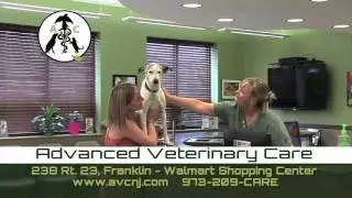 Advanced Veterinary Care