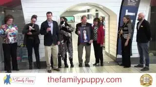 The Family Puppy  Flint Store Opening March 2016