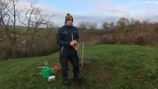 Sázení ovocných stromů na podzim