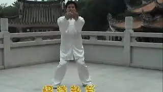 Boxe de grue blanche de Yongchun (永春白鹤拳)