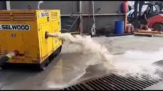 Selwood S100 Drain pump