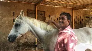 Ras Al Khaimah യിലെ അറബിയുടെ തോട്ടത്തിലൂടെ 