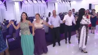 Rodica Mitran Live - Colaj Sarbe  -  Nunta Dragasani   2016