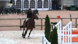Fiego Van de Zonneweide (Quidam de Revel)
