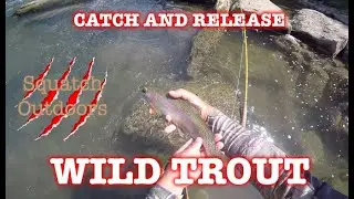 Summer Fly Fishing Nymphing Spring Creek, Pennsylvania - Catch and Release Brown & Rainbow Trout