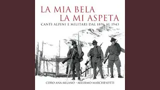 Alpini In Libia