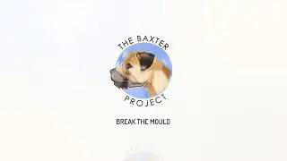 The Baxter Project - Promo