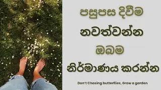පසුපස දිවීම නවත්වන්න, නිර්මාණය කරන්න | Stop Chasing, Start Creating | #2026 #sinhalapodcast 