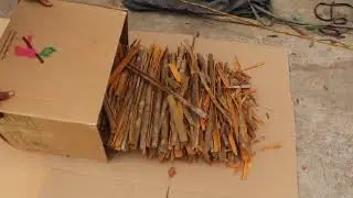 Viet Nam Premium Split Cassia