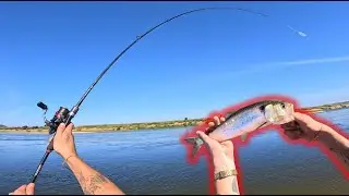 Pesca á FATAÇA com Medalha🦋: Na companhia do meu Pai | Rio Tejo | Correia Fishing | 4K