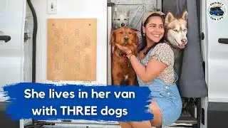 Travel couple lives in their van full-time with their THREE DOGS