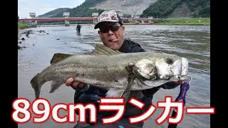 2020年7月 追波川シーバス 89cm、82cmキャッチ［村岡博之さん］
