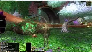 EverQuest 2 Guild Hall tour. Lords and Ladies Hall on Antonica Docks. Verdant Takish 'Hiz