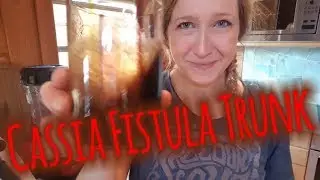 Wie ich Cassia Fistula einnehme
