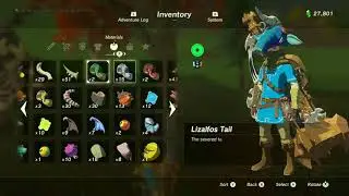 How to get The Savage Lynel Sword (Easy) Zelda BOTW