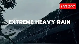 Fall Asleep Instantly with Heavy Tropical Rain on Roof Sounds for Deep Sleep and Anxiety Relief