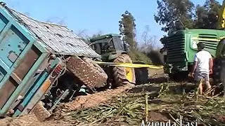 Mais Azienda lasi