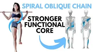 Core Stability Training (Spiral Oblique Chain) 2020