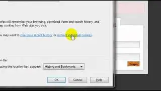 New Minecraftforum - How to remove cookies from Mozilla firefox to access the new forum