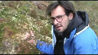 CURIOSIDADES - LA TURBERA